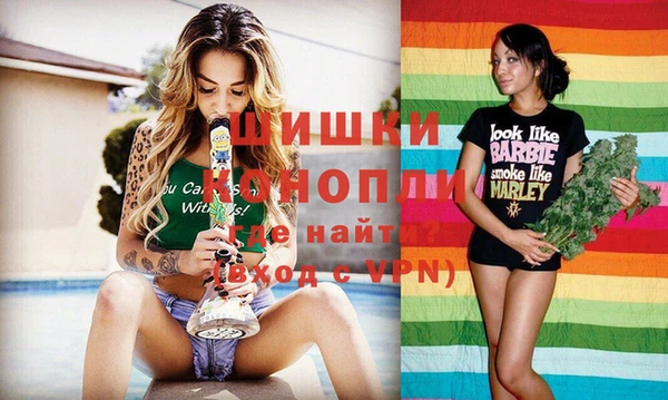 дмт Новодвинск