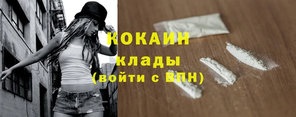 дмт Новодвинск