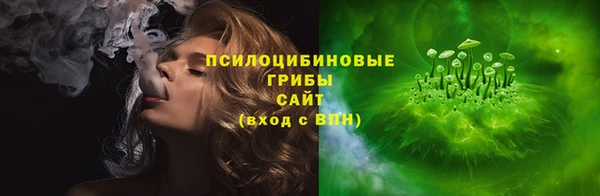 дмт Новодвинск