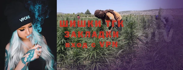 дмт Новодвинск